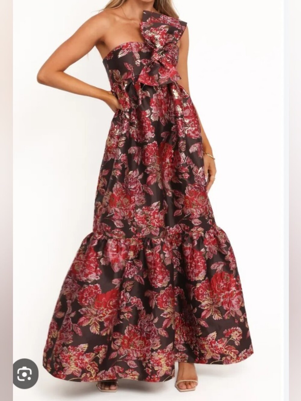Petal & Pup Black Maxi Dress with Red Floral Print